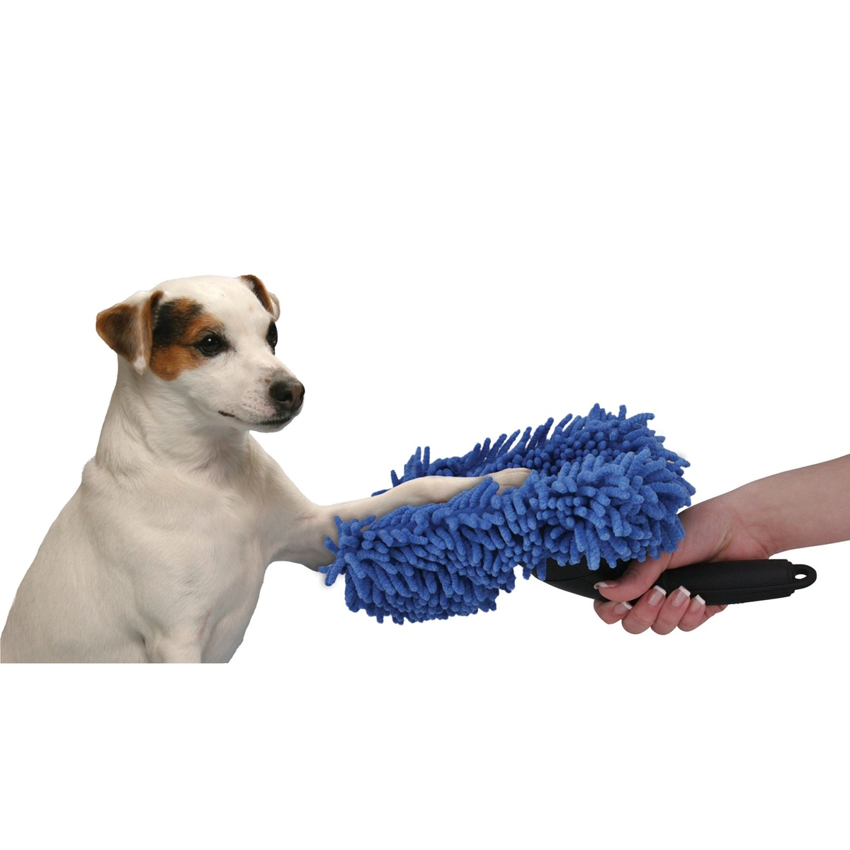 Den komplette guide til negleklippere og neglepleje hos hunde